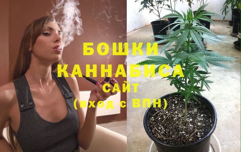 Канабис SATIVA & INDICA  shop какой сайт  Богородск  купить наркотики цена 